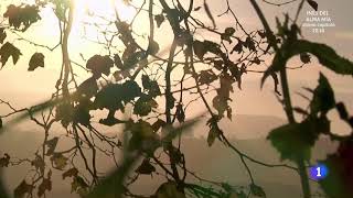 Así se prepara un cocido montañes en La Revilla... un vídeo de Aquí la Tierra