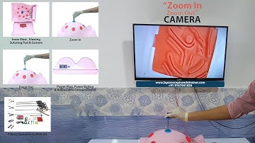 LAPAROSCOPIC ENDOTRAINER Laparoscopic Body / Pelvic Shape Virtual Endo Trainer With 5 Instruments