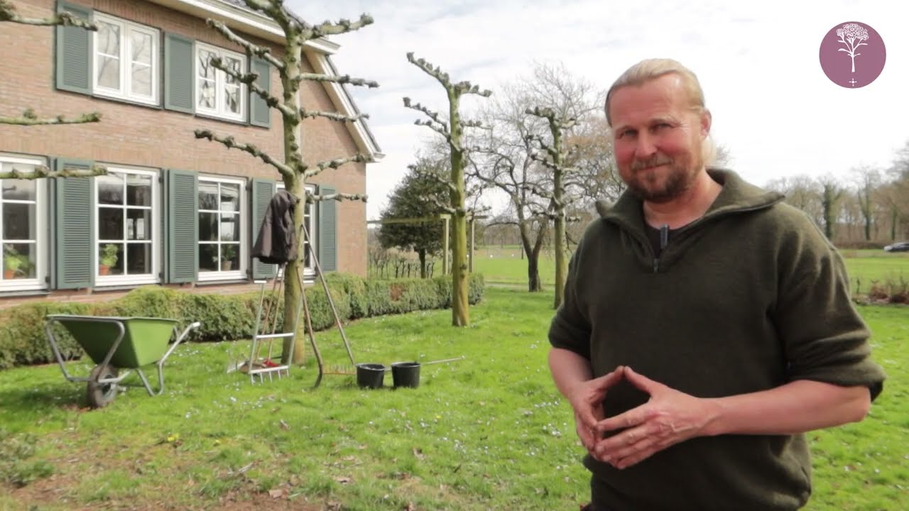 Een bloemenmengsel zaaien, zo doe je dat.