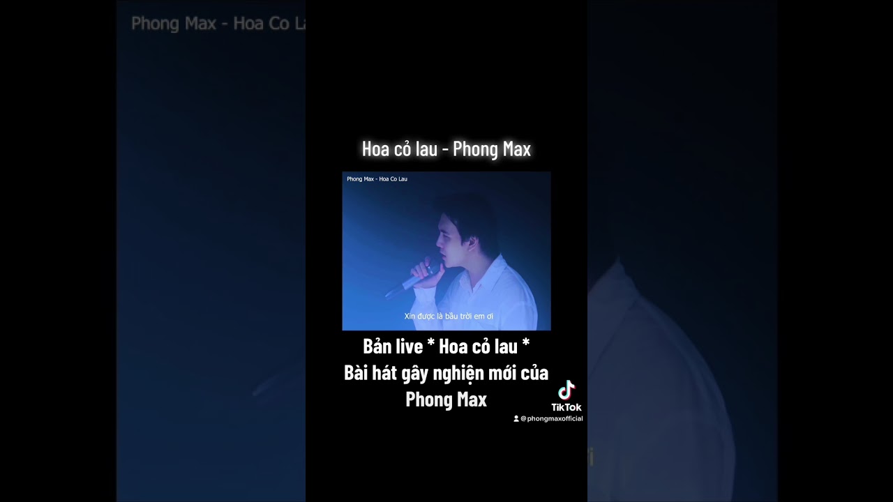 Hoa cỏ lau - Phong Max live