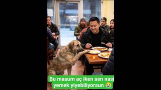 Korkarak Yemek Istiyor Adam Ise Orali Bile Olmuyor