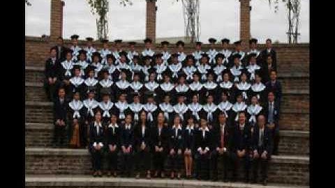 Institut Teknologi Del