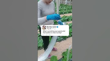 What is something your parents did that backfire to them horribly?#funny#reddit #story