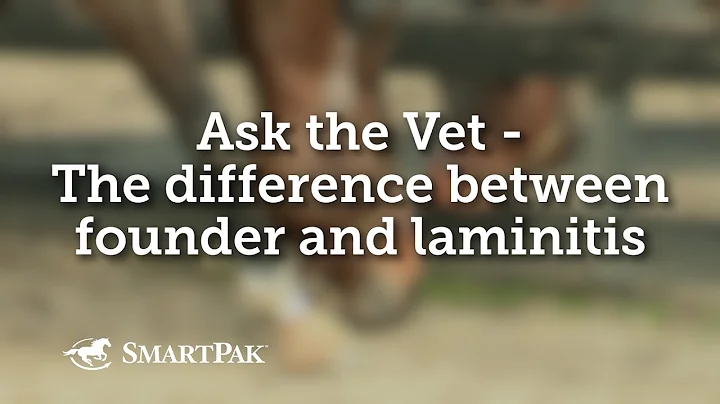 Ask the Vet - Difference between founder and laminitis