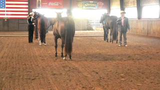 Natasha Halter Bf Double Vision 07-08-2011 Nqha