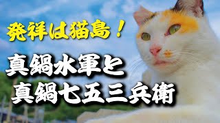 真鍋水軍と真鍋七五三兵衛　～発祥は猫島！水軍とともに拡がる『真鍋さん』の輪～