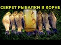 НОВЫЙ УБИЙЦА КАРАСЯ. КОРЕНЬ заменяет 1000 РЫБОЛОВНЫХ НАСАДОК