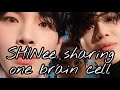 SHINee Sharing ONE Brain Cell...Or Half...I Don't Know Anymore