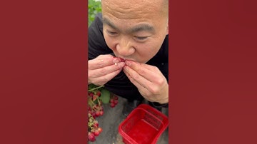 How Red Are Strawberries? My eyes have eaten it! 👀🍓#Strawberrypicking #Supersweetstrawberry