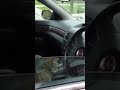 he was NOT prepared for that noise 😭🐱 #funnyanimals #funnyshorts #hilarious #funnycats #catshorts