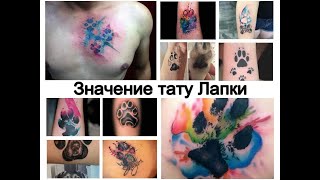 Значение тату Лапки - особенности рисунка и фото примеры для tattoo-photo.ru