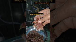 today ராகி கோதுமை அடை/ கேழ்வரகு அடை /ragi wheat Adai #shorts #trending #food #ytshorts #viral