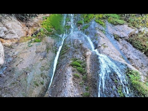 جولة ربيعية رمضانية في غابة الرمكة ولاية غيليزان 01