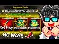 Rolling INDRA DOG HOUSE Gacha For DRAGON Fruit In Blox Fruits Roblox...
