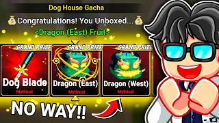 Rolling INDRA DOG HOUSE Gacha For DRAGON Fruit In Blox Fruits Roblox...