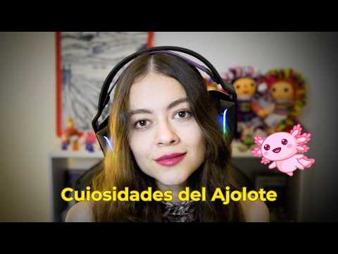 50 Datos Curiosos del Ajolote 🦎 | ASMR de susurros