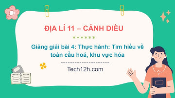 Giảng bài 4: Thực hành: Tìm hiểu về toàn cầu hoá, khu vực hóa  | Địa lí 11 CD