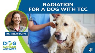Radiation for a Dog with TCC | Dr. Megan Duffy