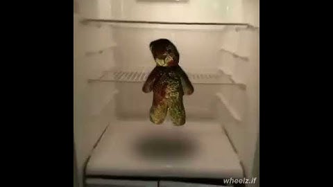 Call of duty zombies teddy bear mystery box when there