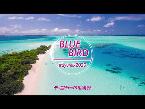 浜崎あゆみ - BLUE BIRD[Tropical House]｜(ティンカーベル初野 Remix) #ayumix2020