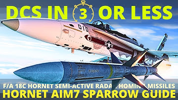 DCS Hornet Sparrow - F18 AIM7 Sparrow Tutorial - DCS in 3 Or Less