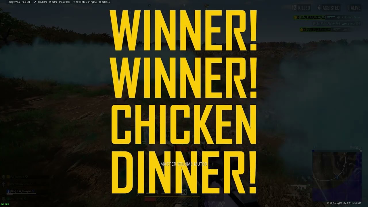 Flukky l PUBG Montage #28