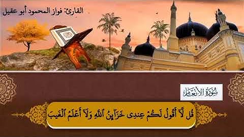 سورة الأنعام الجزء ٧ صفحة 133 بصوت القارئ فواز المحمود أبو عقيل