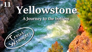Fly Fishing Yellowstone Canyon A Journey to the Bottom | Trout Wranglers (Episode 11)
