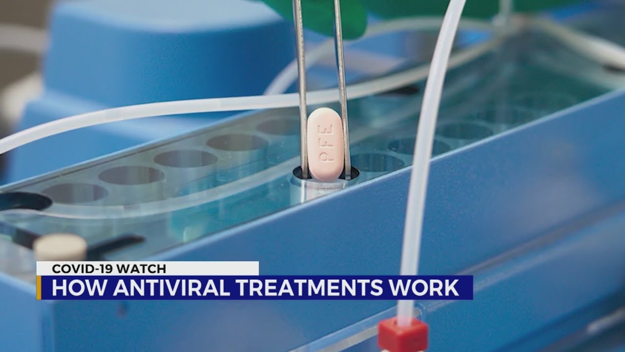 What you need to know about Pfizer's COVID-19 antiviral pill