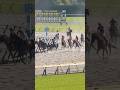 クールブロン❤️帰り道❣️みんなお疲れ様❣️セクシー馬体芦毛男子💕三浦皇成騎手🏇2026/5/10 東京競馬場# #horse #競馬 #東京競馬場 #芦毛 #horseracing