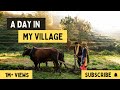 होली की छुट्टियों में गांव आया || A Day In My Village || Holidays Vacation in Village | Village Life