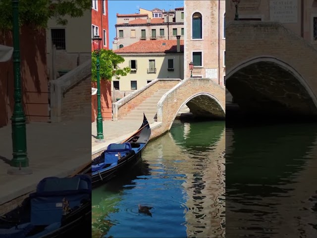 How beautiful is Venice? 😍 Imagine teaching English here! | Premier TEFL #tefl #teachabroad