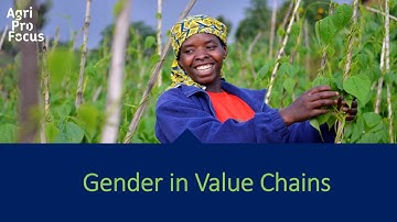 Why gender in value chains matters...