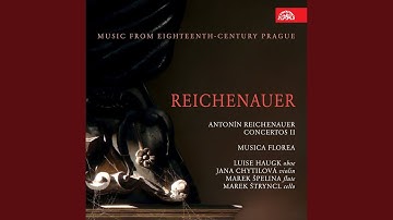 Concerto for Oboe, Strings and Basso continuo in B flat major - Allegro