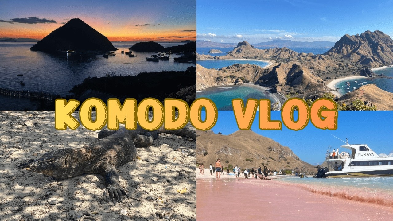 【Komodo Vlog】AYANA Komodo Waecicu Beach開箱／終於看到傳說中的科摩多龍了！粉紅沙灘到底多粉？印尼的度假小島真的都太強啦｜《Ser遊記》 ep.2
