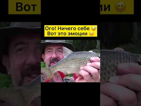 #shorts #охотникирыболов #fish #охота