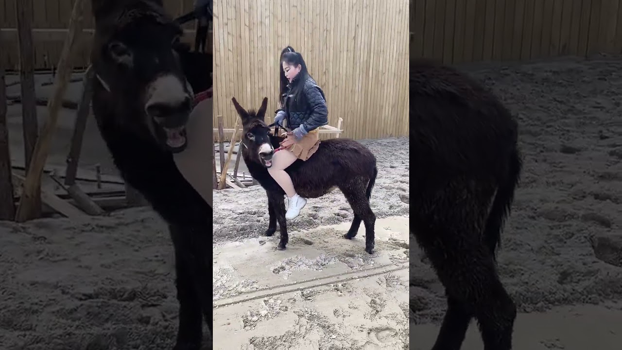 Douyin Second Innovation Incentive Plan Douyin Popular Recommendations