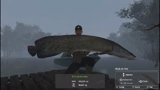 TOP 4 BIGGEST FISH FISHING PLANET  , MAIORES PEIXES NO JOGO