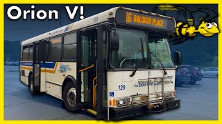 (Last of its kind!) Westchester Bee-Line 2005 Orion V (05.505) w/Detroit Diesel on route 16