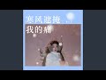 寒风遮掩我的痛 寒风遮掩我的痛