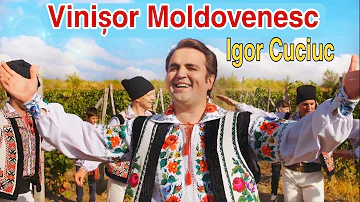 Igor Cuciuc  - Vinișor Moldovenesc (Official Video) ☎️ ( Rezervările +37369242178)