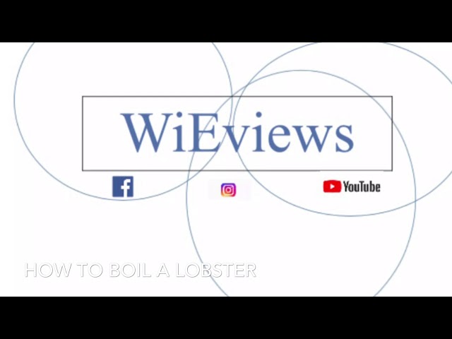 WiEview Pro Tip How to Boil a Lobster class=