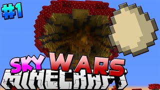 сервера на майнкрафт 1.8 с sky wars #10