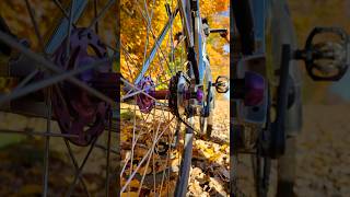 Golden hour & autumn vibes 🍁 TrackloX fixie: made for fall rides. Customize yours! 🚴♂️