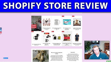 Shopify Store Review ❇️ Does This Drop Shipping Store Have a Chance?