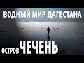 ОСТРОВ ЧЕЧЕНЬ. ЗАТЕРЯННЫЙ МИР ДАГЕСТАНА. КАСПИЙСКОЕ МОРЕ. СВЯЩЕННИК И ОСТРОВИТЯНЕ.