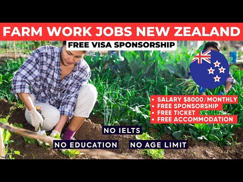 Farm Work Jobs In New Zealand With FREE Visa Sponsorship 2024 - New Zealand Work Visa