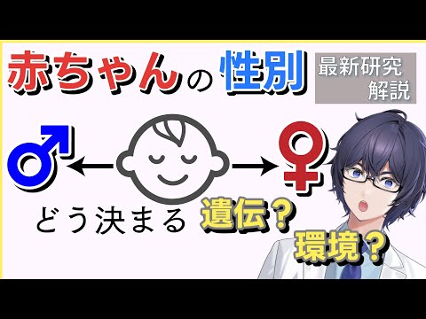 “コイン投げ”じゃなかった!? 赤ちゃんの性別を傾ける遺伝子と環境【最新論文60分ライブ解説】 #たかとー研究室