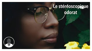 Le stéréoscopique odorat (épisode #260) - La Tête Dans Le Cerveau by La Tête Dans Le Cerveau 65 views 5 months ago 8 minutes, 56 seconds