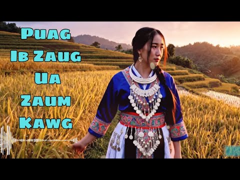 Thov Puas Ib Zaug Ua Zaum Kawg - Suab Nkauj Kho Siab | Cover 2025